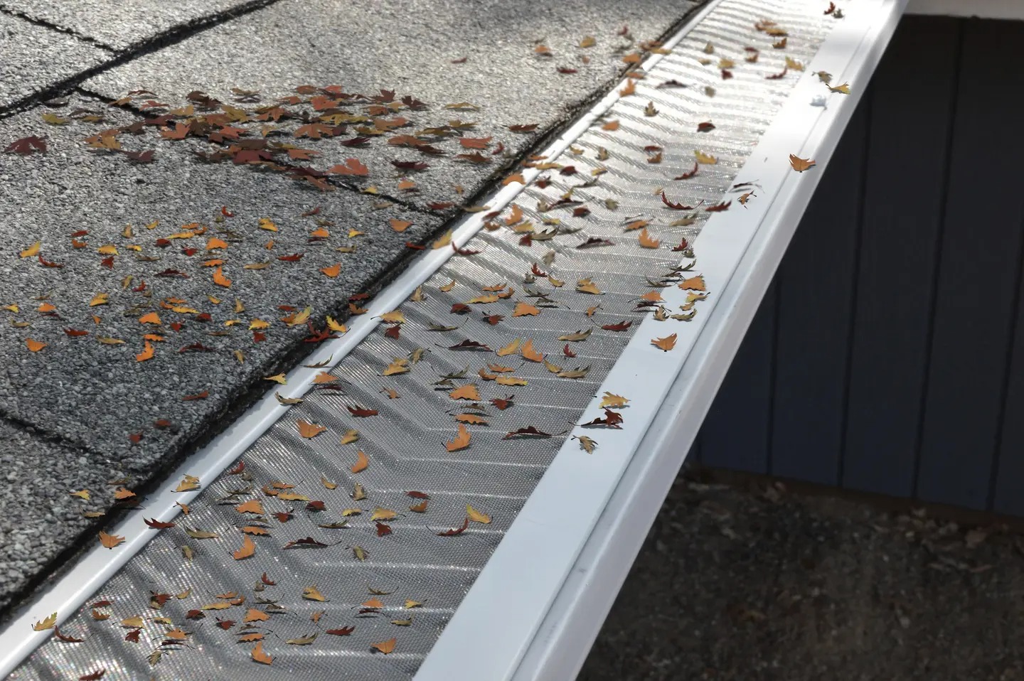 Autumn Leaf Protection