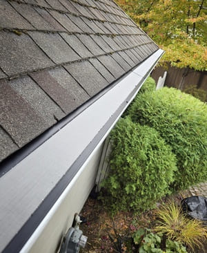 Gutter Guard Protection System